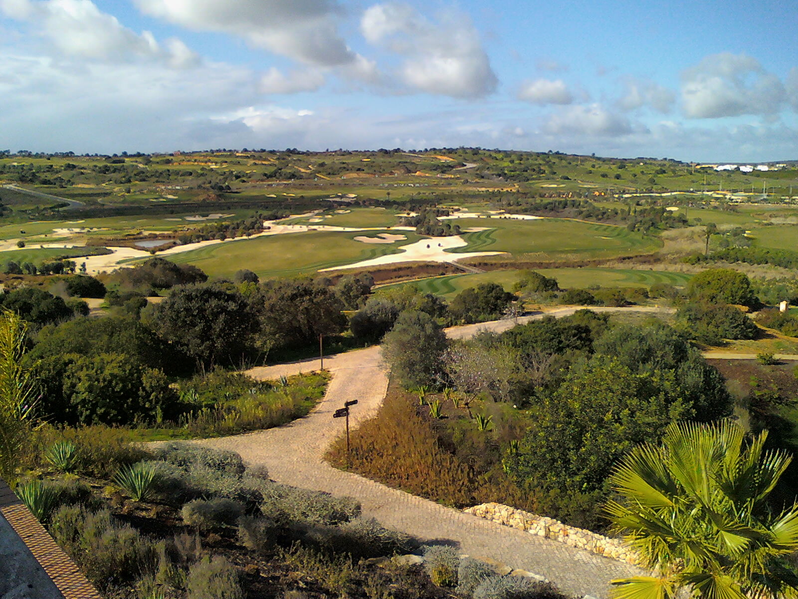 amendoeira geral1