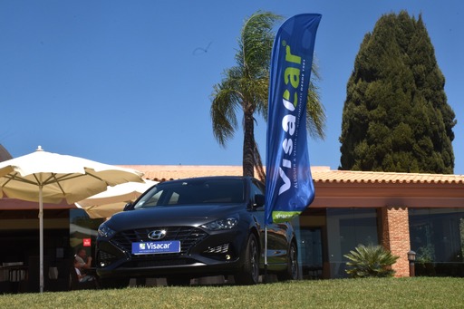 visacar3